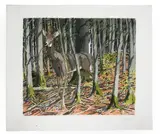 Untitled by Neil Welliver, Deer aquatint etching, sold Jun 2026