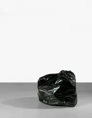 DUMP by Gavin Turk, 2004, Bronze peint, sold Jun 2018