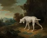 Chien blanc pointant une perdrix rouge by Jean-Baptiste Oudry, A white dog pointing a red partridge, oil on canvas, signed and dated, by J. B. Oudry, sold Nov 2018