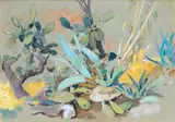 Les cactus by Édouard Doigneau, Crayon, gouache et aquarelle, sold Jun 2005