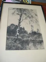 Silver birch beside a pond by Henri Tebbitt, sold Mar 2011
