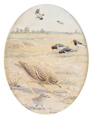Coastal birds feeding by Donald Watson, sold Oct 2009