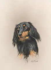 Portrait of a long-haired dachsund by Rex Flood, offered Jun 2009