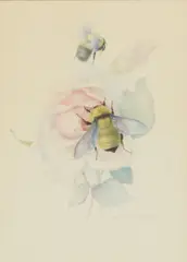 Untitled by Bruno Ertz, Print on Paper, sold Oct 2026