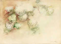 Hydrangeas by Mary Chase Perry, 1890-1905, Original Watercolor on Laid Paper, sold Oct 2026