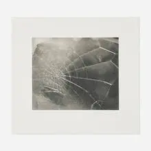 Spider Web by Vija Celmins, 2009, screenprint, sold Oct 2026