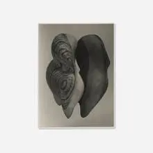 Untitled by Barbara Morgan, c. 1940, gelatin silver print, sold Oct 2026