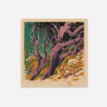 Monterey Cypress by Gustave Baumann, 1936, woodcut in colors on Zanders laid, sold Oct 2026