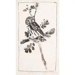 Pygmy Owl by Bryan Wilson, 1977, lithograph, sold Oct 2026