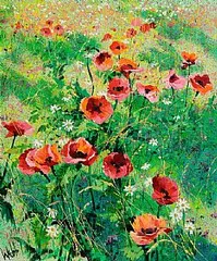 Dancing Poppies by Kenneth Webb, oil on canvas, sold Oct 2026