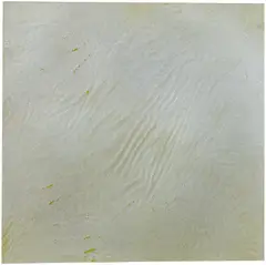 Sans titre by Rudolf Stingel, huile et vernis sur carton musée, offered Oct 2026