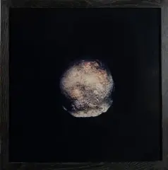 Crâne by Éric Poitevin, Épreuve photographique en couleurs, portant le cachet humide du photographe et justifié, sold Oct 2026