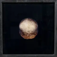 Crâne by Éric Poitevin, Épreuve photographique en couleurs, d'un tirage probable à, sold Oct 2026