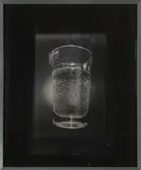 Série «Pommes de Newton» by Patrick Bailly-Maître-Grand, 2004, Tirage photographique monté sur Dibond, sold Oct 2026
