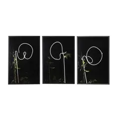 Talking Leaves (Three Photographs) by Oswaldo Ruiz, Each an archival pigment print on Baryta paper, sold Oct 2026