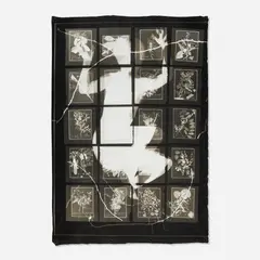 Flight (Hospital Bed) II by Maria Martinez-Cañas, 1998, photogram on linen, sold Oct 2026