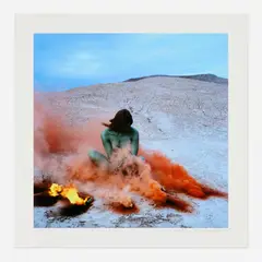 Immolation by Judy Chicago, digital inkjet print, sold Oct 2026