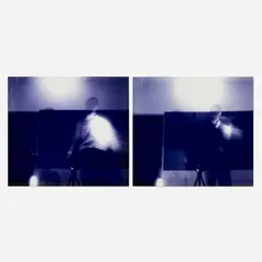 Untitled (diptych) by Albano Afonso, laminated archival pigment print, sold Oct 2026