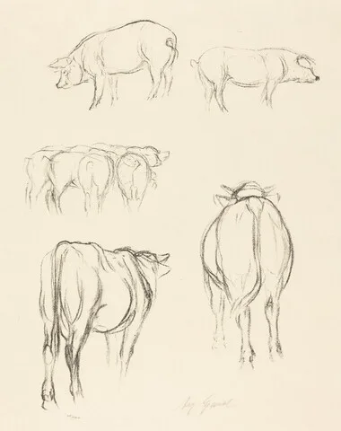 August Gaul, Animal Sketches