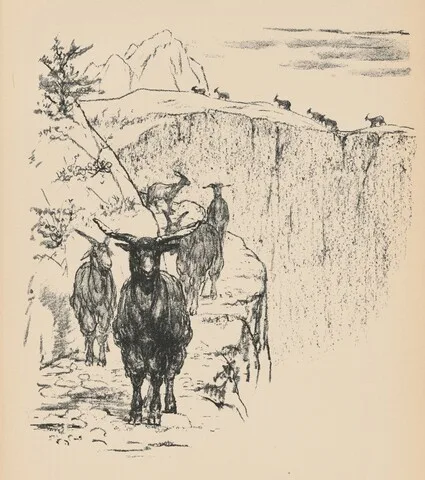 August Gaul, Ziegen (Goats) from Deutsche Graphiker der Gegenwart (German Printmakers of Our Time)