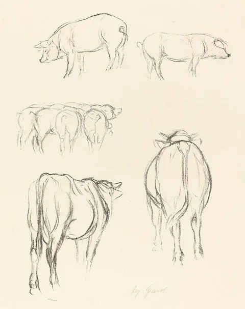 August Gaul, Animal Sketches