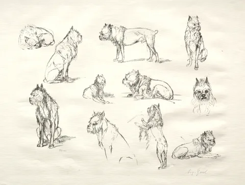 August Gaul, Study of Dogs