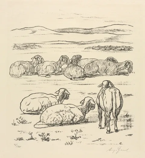 August Gaul, Sheep