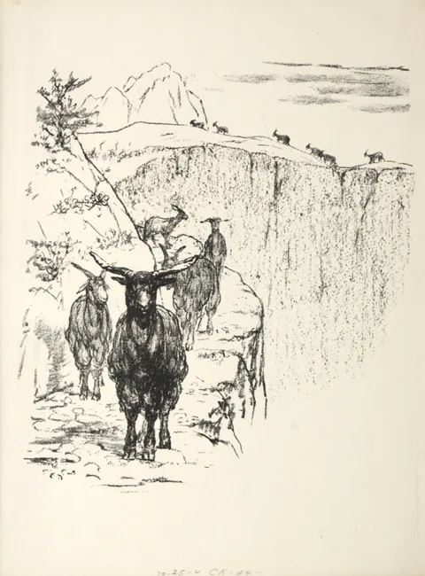 August Gaul, Goats