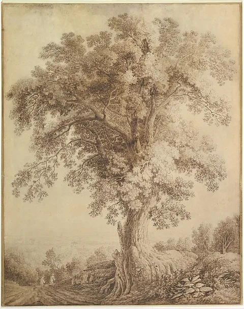 Jacob Philipp Hackert, A Large Tree at Albano