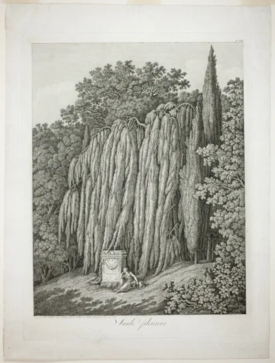 Jacob Philipp Hackert, Weeping Willow