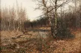 Hugo Mühlig, Untitled