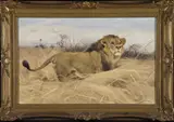 Wilhelm Kuhnert, Untitled