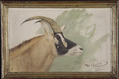 Wilhelm Kuhnert, Untitled