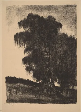 Lesser Ury, Birches