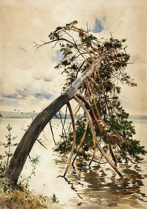 Julian Fałat, Świteź.