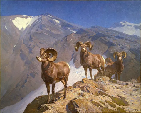 Carl Rungius, The Mountaineers -- Big Horn Sheep on Wilcox Pass