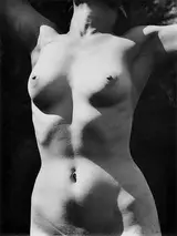 Max Dupain, Torso in Sunlight II