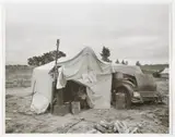 Dorothea Lange, Cotton Pickers’ Camp, Nipomo California