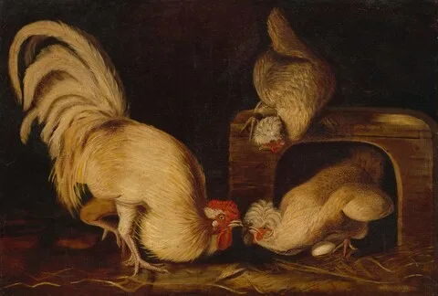 John James Audubon, Farmyard Fowls