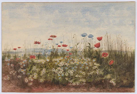 Andrew Nicholl, Bank of wildflowers