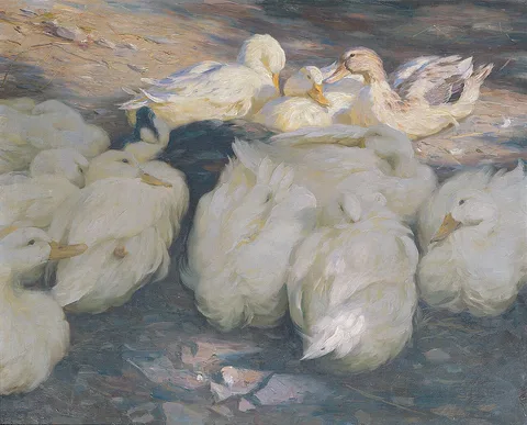 Alexander Koester, Untitled