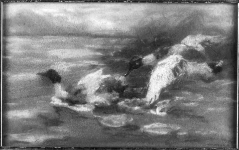 Alexander Koester, Untitled