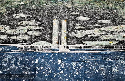 Vik Muniz, 8 de janeiro de 2023