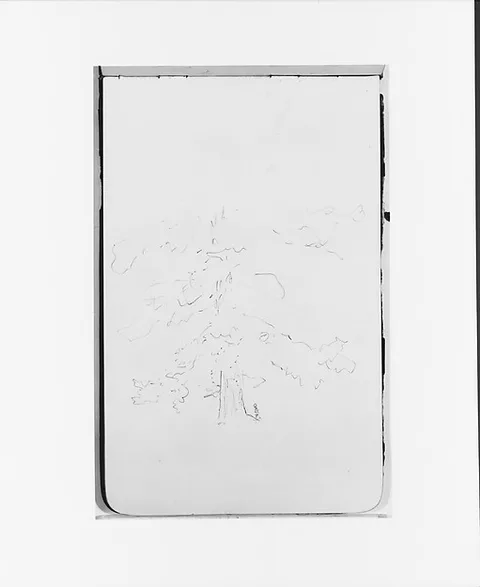 Albert Bierstadt, Tree (from Sketchbook)