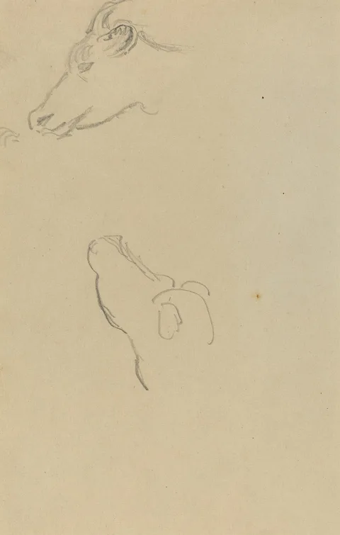 Paul Gauguin, Head of a Cow [recto]