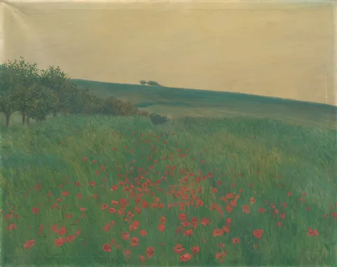 František Kaván, Red Poppies