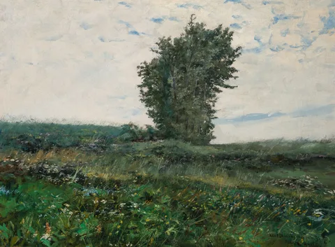 František Kaván, A Piece of Meadow in Spring