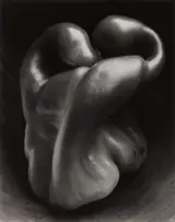 Edward Weston, Pepper No. 30