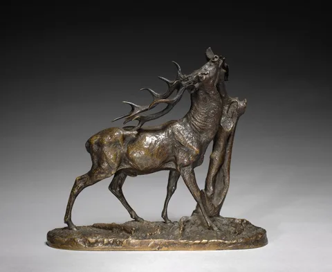 Pierre-Jules Mêne, Stag