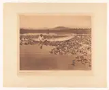 Edward S. Curtis, Gathering wokas - Klamath